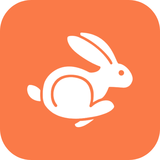 Rabbit VPN پی سی