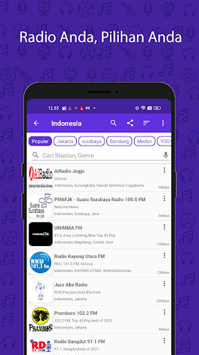 Radio FM PC