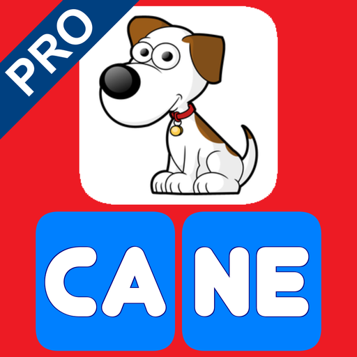 Scrivere con le sillabe 2 Pro PC