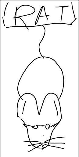 Scribble & Guess: IO Game PC