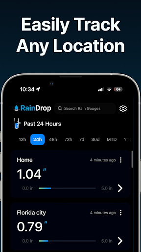 RainDrop: Virtual Rain Gauge PC