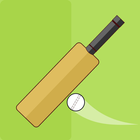 Cricket Minimalist Game PC