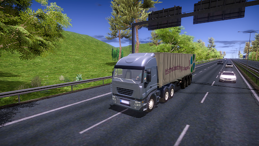 Real Truck Driving 2025