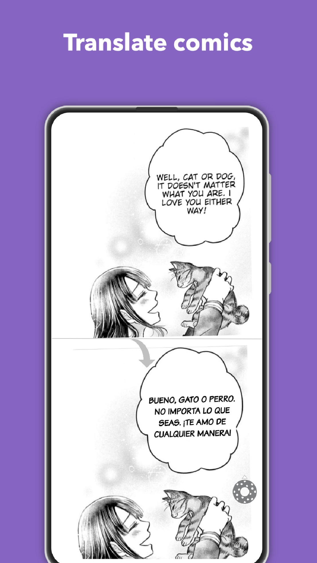 Traduci sullo schermo PC