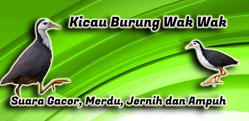 komputer Suara Burung Wak Wak Gacor