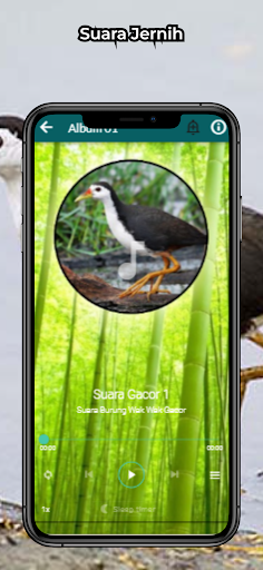 komputer Suara Burung Wak Wak Gacor