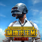 PUBG MOBILE：絕地求生M পিসি