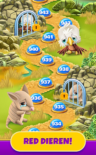 Royal Cat Puzzle