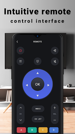 Pilot TV remote control