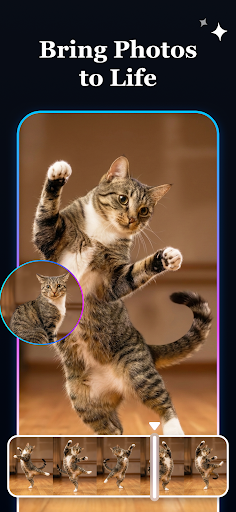 Relumi:AI Retake&Restore Photo پی سی