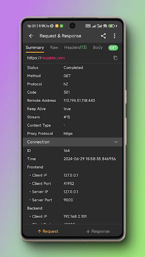 Reqable  API Testing & Capture پی سی