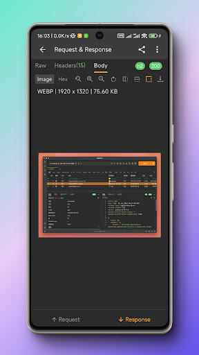 Reqable  API Testing & Capture پی سی