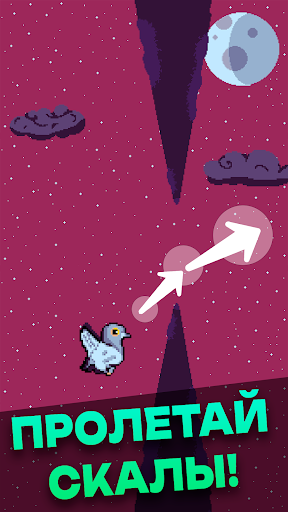 Голубь Валера ПК