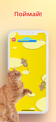 Игра для котов - Мышки и Рыбки