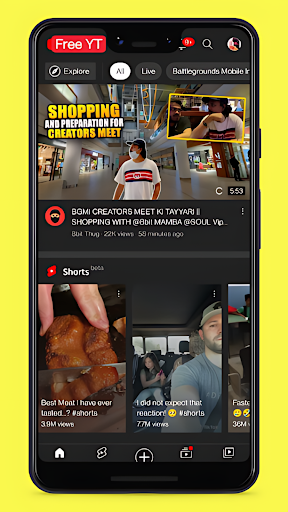 FreeTube PC