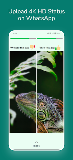 Upload High Quality Status PC