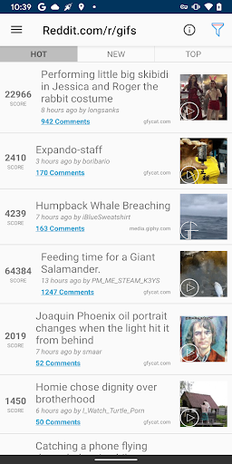 GIF player/editor - OmniGIF PC