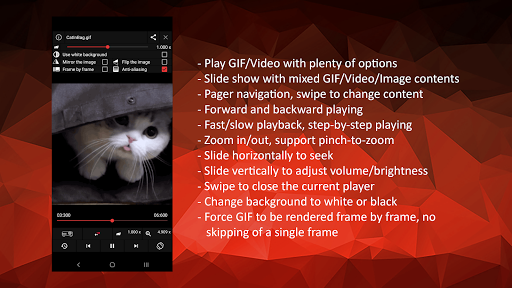 GIF Player - OmniGIF PC
