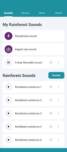 Rainforest Sounds