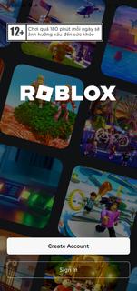 Roblox - VNG