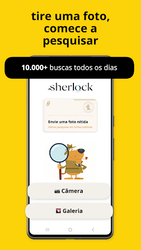 Sherlock: Busca Facial com IA para PC