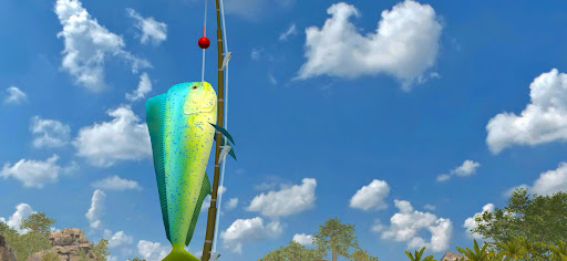 Fishing Friends 3D - Big Catch PC