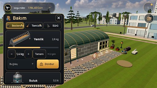 Pigeon Online World PC