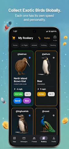 Roost Social para PC