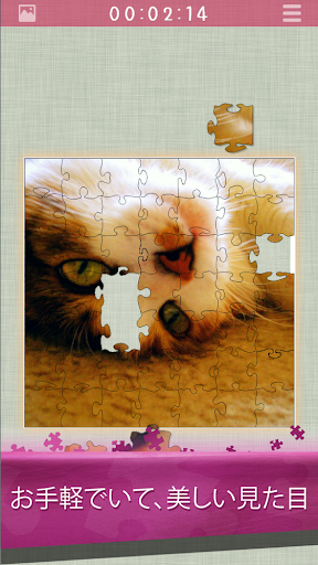 パズル Jigsaw Puzzles ジグソーパズル PC版