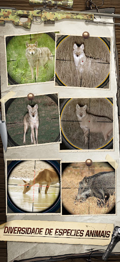 Hunting Sniper para PC