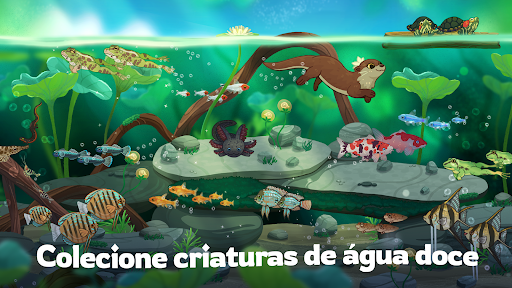 Pondlife — Jogo De Peixe