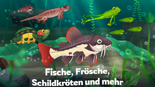 Pondlife — Fisch Spiele