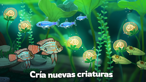 Pondlife — Juegos de peces