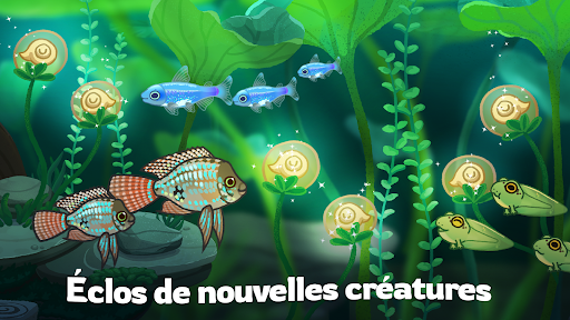 Pondlife — Jeu de poissons PC