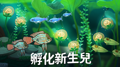 《Pondlife》— 你的魚類心靈療癒所