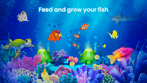 Splash — Fish Aquarium