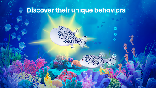 Splash — Fish Aquarium