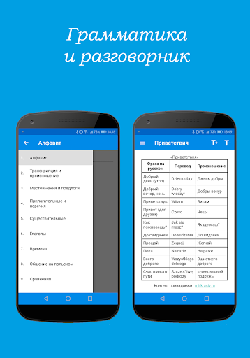 Русско-польский словарь PC