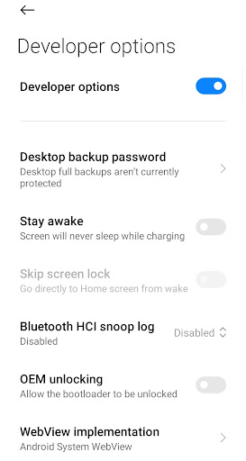 Developer Options PC