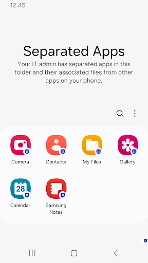 Separated Apps پی سی