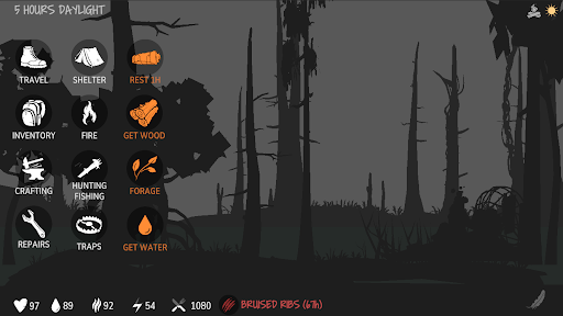 Survive - Wilderness survival PC