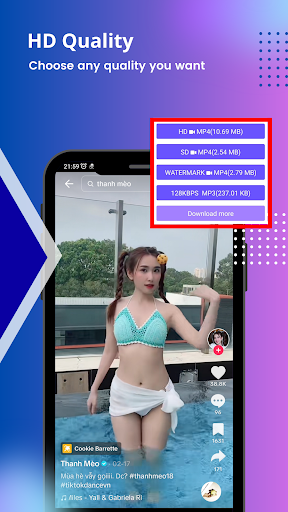 SaveGo Video Downloader PC