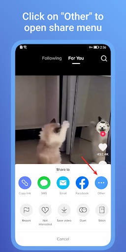 SaveTik: TK Video Downloader পিসি