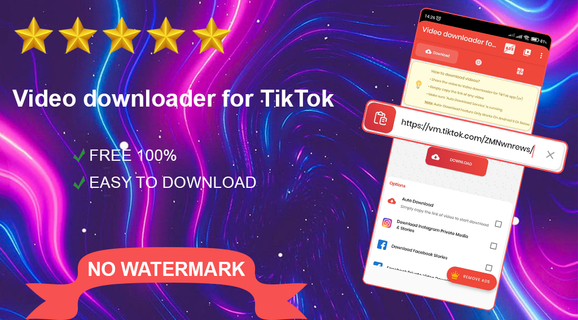 TMATE Video downloader  TikTok PC