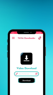 Video downloader for TT PC