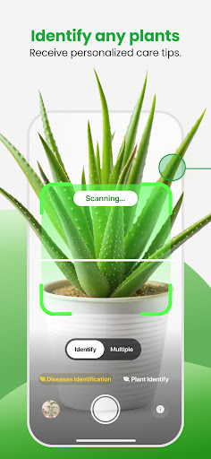 Plant App - Plant Identifier PC