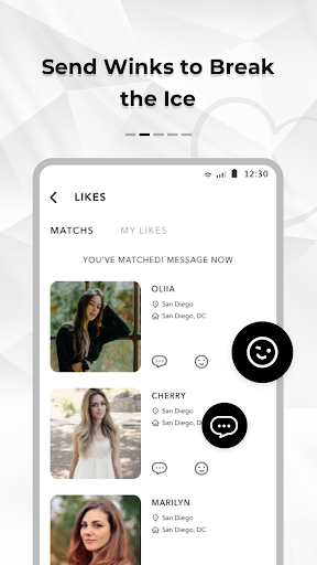 SDM: Sweet & Discreet Meet PC版