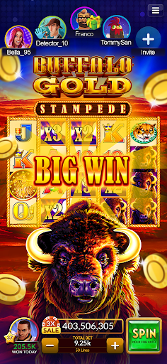 Big Fish Casino - Slots Games