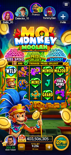 Big Fish Casino - Slots Games