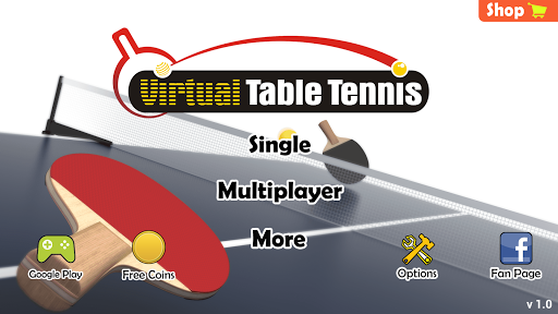 Virtual Table Tennis